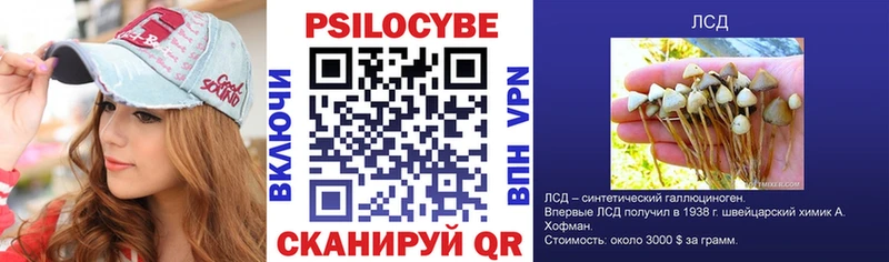 где купить наркоту  Пошехонье  Галлюциногенные грибы Psilocybine cubensis 
